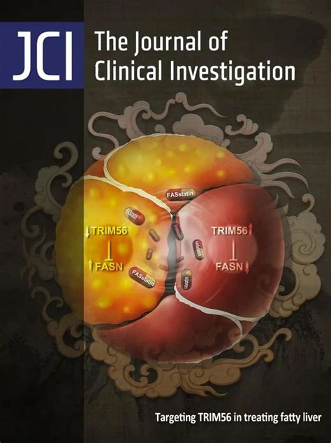 Jci封面：中科大团队揭示非酒精性脂肪肝发病新机制，并发现治疗新药物肝细胞蛋白研究者新浪新闻