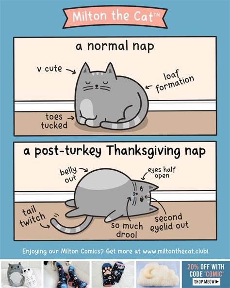 Thanksgiving Cat Memes