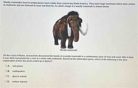 Woolly Mammoths Lived In Temperatures Much Colder Than Current Day