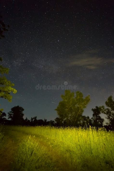 Ciel étoilé Nocturne Avec Voie Laiteuse Au dessus De La Clairière De La