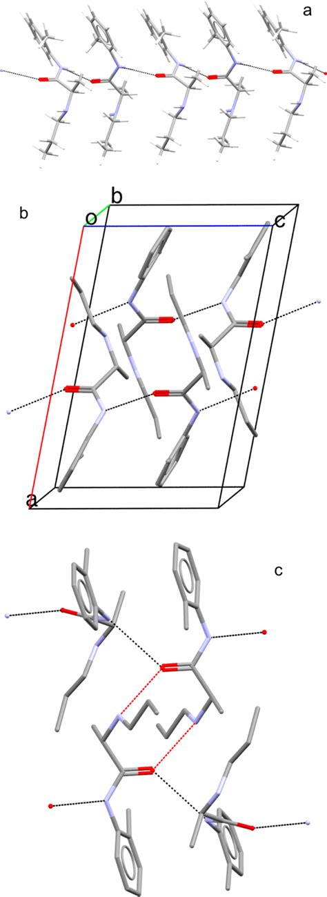 Details Of The Structure Of Prilocaine A Hydrogen Bond Chain Along