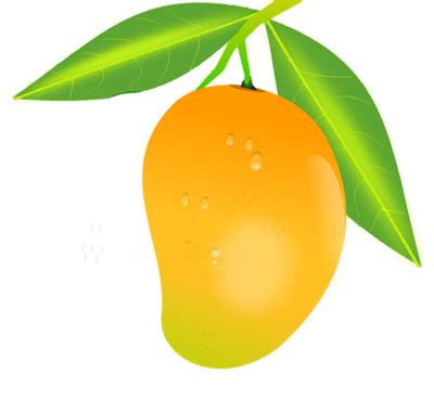 Mango Png Image Hd Png Svg Clip Art For Web Download Clip Art Png Images