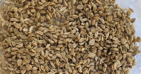 Ajwain Meaning in Malayalam | അജ്‌വയ്ൻ മലയാളം അർഥം, ഗുണങ്ങൾ