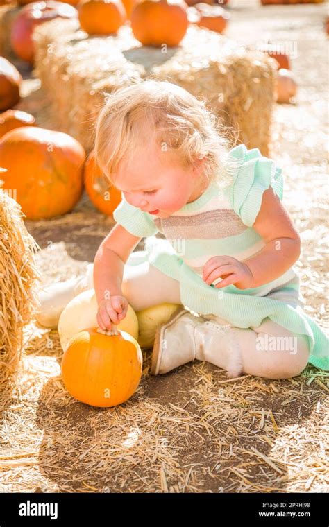 Adorable Baby Girl Having Fun In A Rustic Ranch Setting At The Pumpkin