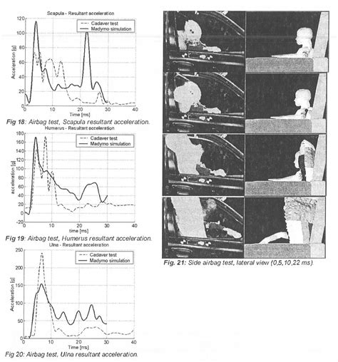 Figure 1 From Mathematical Human Body Models Representing A Mid Size Male And A Small Female For