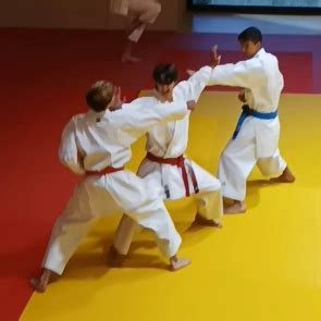 Un début de saison prometteur pour le club KarateDo Villeneuve Tolosane