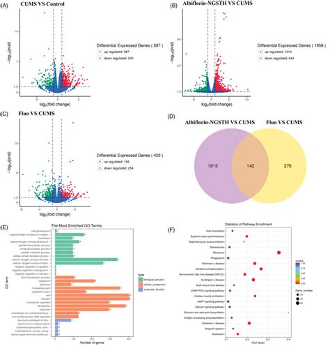 Transcriptome analysis in the hippocampus of rats. Volcano map: (A ... 