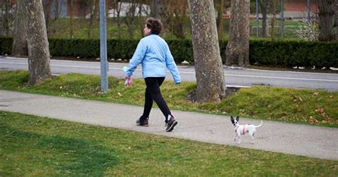 Caminata Ligera De Minutos Despu S De Comer Reduce El Riesgo De