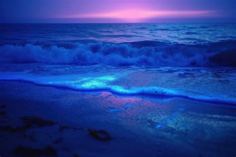 Bioluminescence ocean outdoors horizon nature. | Premium Photo - rawpixel