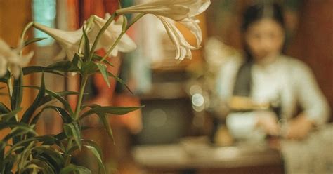 Hot girl Lê Thị Phương Thảo IV Dep Pro Vn