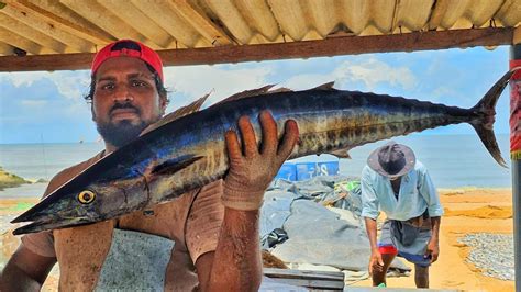 Amazing Seer Fish Cutting Skill By Expert Fish Cutter Huge King Fish