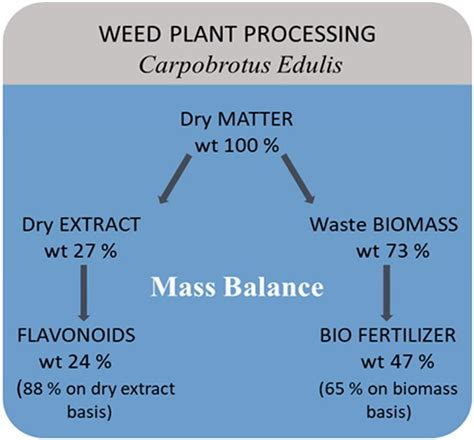 Total Mass Balance For The Developed Integrated Plant Material