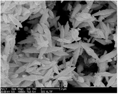 Method For Preparing Zinc Oxide Nanoshuttle Eureka Patsnap Develop