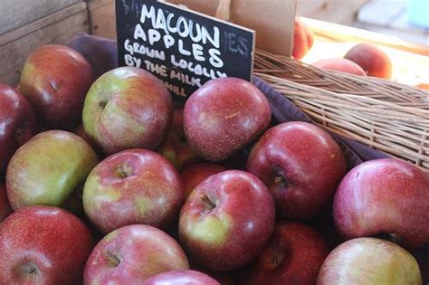 Macoun Apples Apple Season, Local Farm, Nutrition Recipes, Cobbler ...