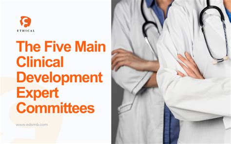 The Five Main Clinical Development Expert Committees