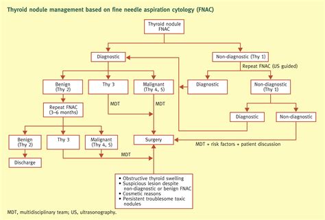 Management Of The Thyroid Nodule Surgery Oxford International Edition