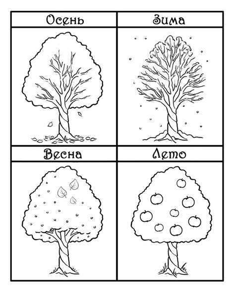 Дерево в разное время года - razukrashki.com | Seasons kindergarten ...