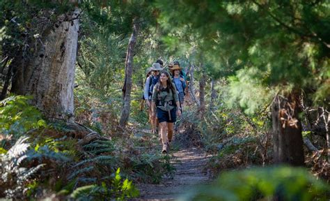 Celebrate 10 Years Of Great Walks Of Australia With 10 Off All Great