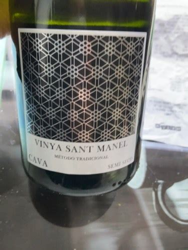 Cavas Hill Cava Vinya Sant Manel Semi Seco Vivino