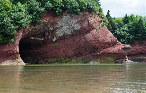 Wallpaper sea, forest, trees, shore, cave, caves, St. Martins Sea ...