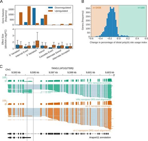 Figures And Data In Nanopore Direct Rna Sequencing Maps The Complexity