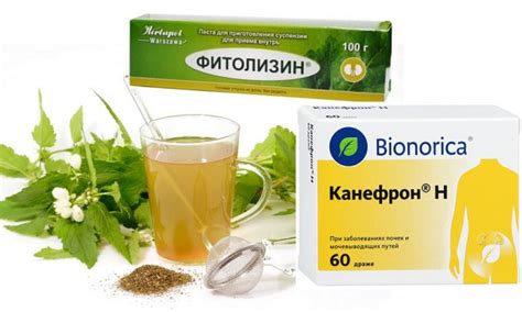 Лекарство от воспаления мочевого пузыря у женщин – антибиотики ...