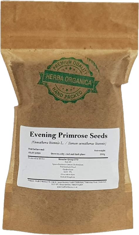 Gemeine Nachtkerze Samen Oenothera Biennis L Evening Primrose Seeds