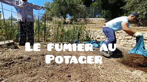 Le Fumier Et L Utilisation Du Compost M R Au Potager Pr Paration D