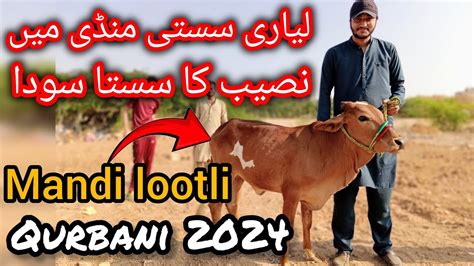 Alhamdulillah Soda Ho Gaya Sasti Mandi Main Sasta Soda Liyari Cow