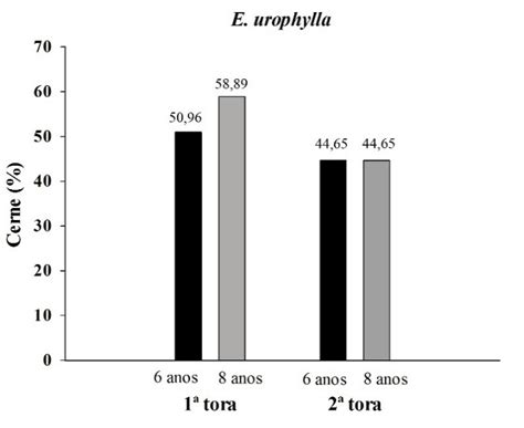 Porcentagem De Cerne Do E Urophylla Em Duas Idades E Diferentes