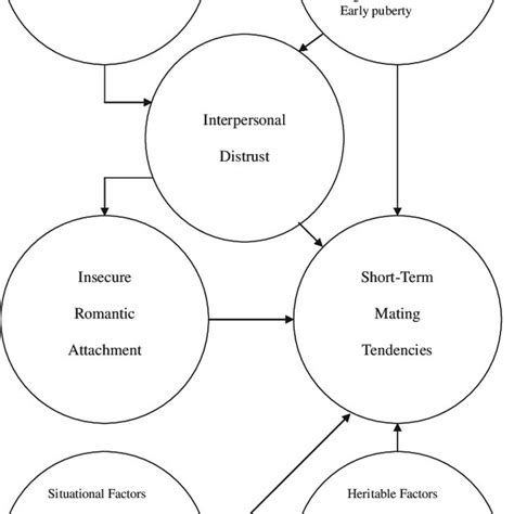 Schematic Representation Of Relations Among Possible Causes Of