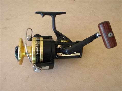 Daiwa Bg30 Fishing Fishing Wa Fishing Photos