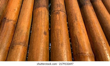 Bamboo Fence Background Texture Stock Photo Shutterstock