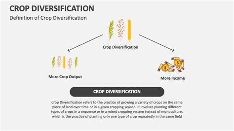 Crop Diversification PowerPoint and Google Slides Template - PPT Slides