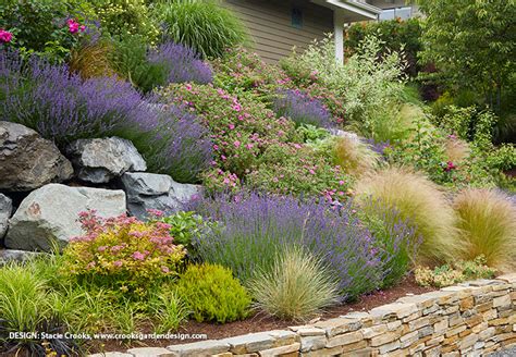 Different Types of Lavender | Garden Gate