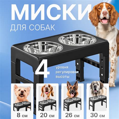 Миска для животных купить на OZON по низкой цене (1852554743)