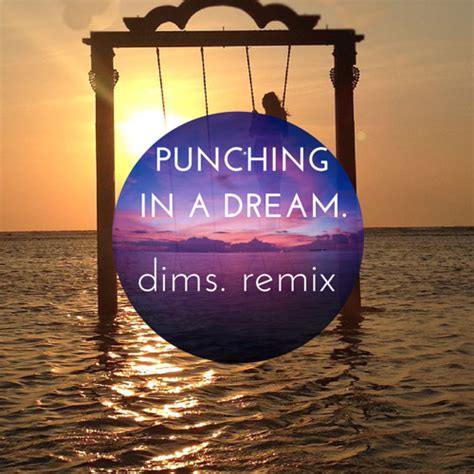 Stream Punching In A Dream The Naked And Famous Dims Remix By D