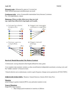 Lecture 17 Notes Anthro 102 Primate Origins Cenozoic Era Age Of