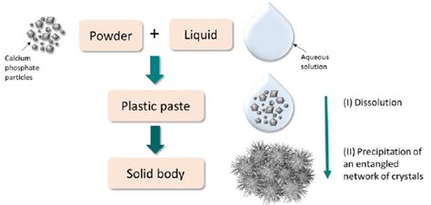 Calcium Phosphate Cements Processing And Microstructure Download