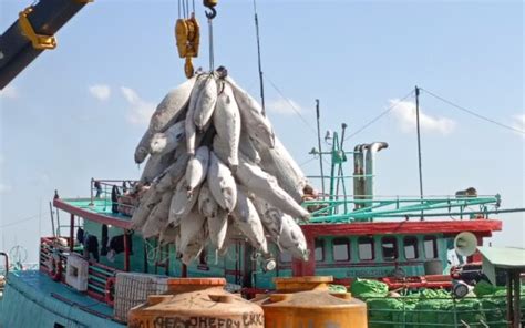 Penangkapan Ikan Terukur Dijanjikan Mulai Beroperasi Per 1 Januari 2025