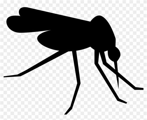 Detail Mosquito Vector Png Koleksi Nomer