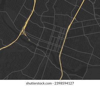 Vector City Map Austin Center Texas Stock Vector (Royalty Free ...