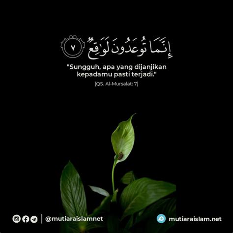 Quotes Ayat Alquran Penuh Inspirasi Dan Nasihat Indah