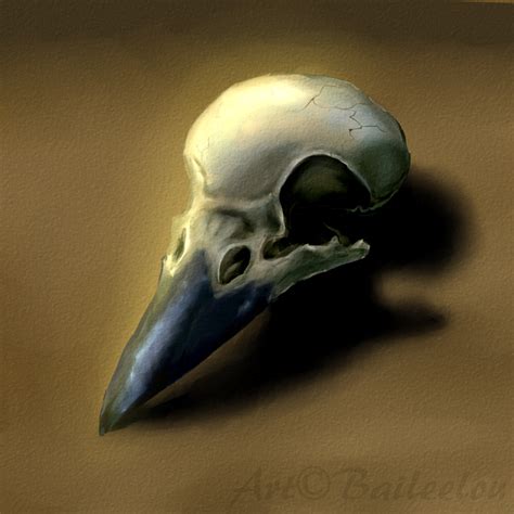 Raven Skull by Baileeluz on DeviantArt