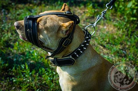 Buy Soft Padded Adjustable Leather Pitbull Muzzle | No Bark Effect