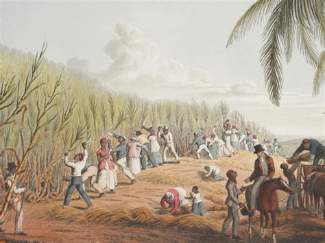 Guyana Descendants Of British Slave Owner Issue Apology In The Wake Of