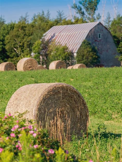 agritourism  tourism connects people place