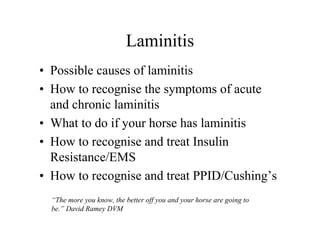 Laminitis IR PPID causes and treatment | PPT