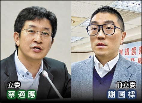 基隆市長選情初探》謝國樑對決蔡適應 中間選民左右戰局 政治 自由時報電子報