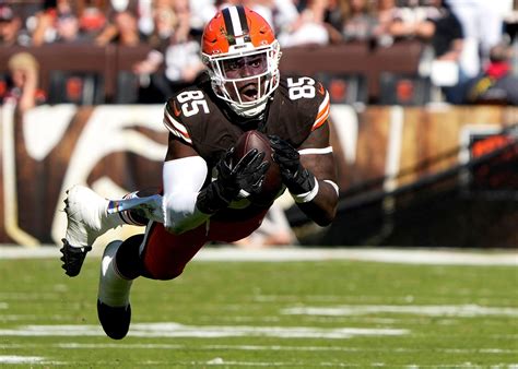 Updated Fantasy Football TE Rankings 2025: Best PPR draft tight ends